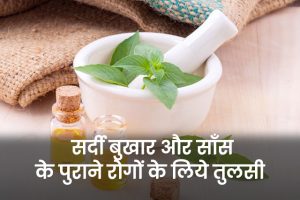 Basil-for-cold-fever-and-chronic-diseases-of-pneumonia