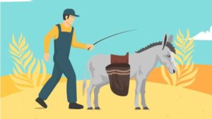 donkey and salt