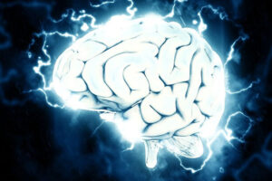 brain