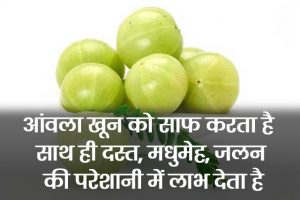 Benefits-of-Gooseberry