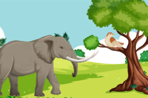 sparrow and proud elephant