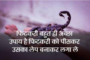 Scorpion-Sting-Treatment