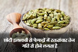 Is-Cardamom-Good-for-Weight-Loss