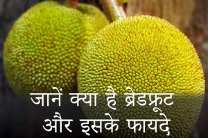 Breadfruit-Benefits