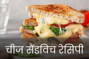Cheese-Sandwich-Recipe