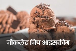 Chocolate-Chip-Ice-Cream-Recipe