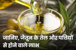 Health-Benefits-Of-Olive-Leaves