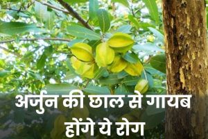 Benefits-of-Arjun-bark