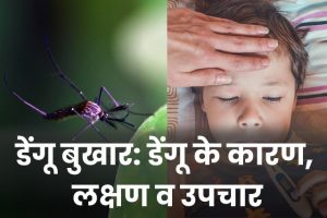 Dengue-Fever