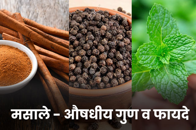 Spices---Medicinal-Properties-and-Benefits